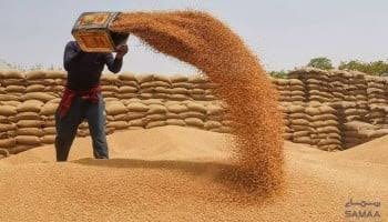حکومت پنجاب نے گندم کی امدادی قیمت 4,500 روپے فی من مقرر کر دی۔ ترجمان زرعی اطلاعات